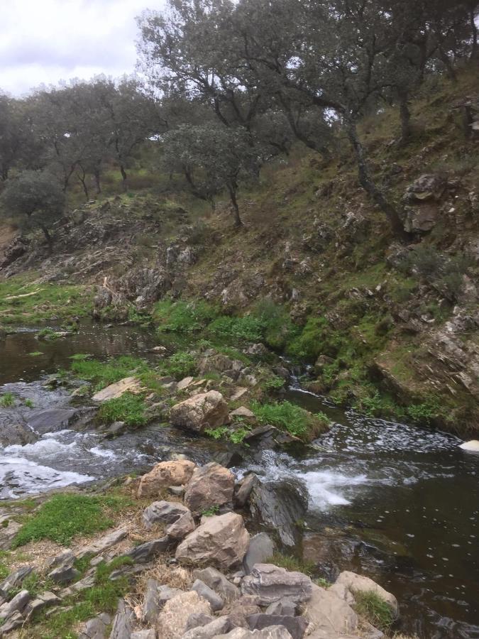 Casa Rural Quejigo Con Piscina Santa Olalla del Cala Eksteriør billede